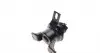 EEM5566 Подушка двигуна Mitsubishi Lancer 2.0 03-13/ Outlander 2.0-2.4 4WD 03-06 KAVO підбір по vin на Brocar