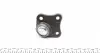1160100040 Опора кульова (передня/знизу/R) Audi A3/VW Golf IV 1.4.-2.8/1.9TDI 96-06 MEYLE підбір по vin на Brocar
