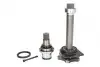 Фланець півосі (+сальник) VW Sharan/Ford Galaxy/Seat Alhambra 1.9/2.0 TDI 00-10 (R) (26z/37z/356) 100 498 0244/S