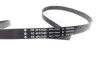 529049810 Комплект ремня генератора VW Caddy II 1.9 SDI 95-04 (6PK1835) INA підбір по vin на Brocar