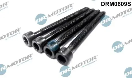 DRM0609S К-т болтов крепления форсунки, 4 шт.. DR.MOTOR підбір по vin на Brocar