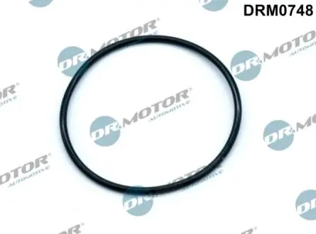 DRM0748 Прокладка помпи вакуумної DR.MOTOR підбір по vin на Brocar