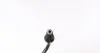 418038810 Шланг зчеплення Ford Focus C-MAX (DM2) 1.6TDCi/1.8TDCi/1.8/2.0, 10/03 - 03/07 LUK підбір по vin на Brocar