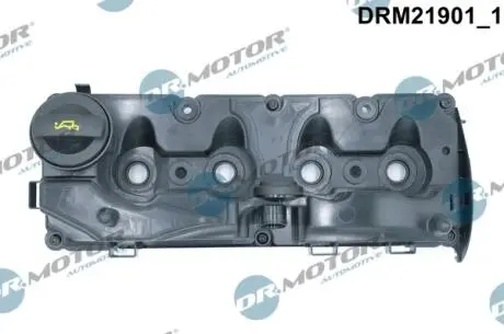 DRM21901 Кришка головки блоку циліндрів ДВЗ DR.MOTOR підбір по vin на Brocar