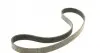 529008810 Комплект ремня генератора Renault Megane/Scenic 1.9 dCi/2.0 16V 03- (7PK1125) INA підбір по vin на Brocar