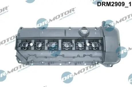 DRM2909 Кришка головки блоку циліндрів ДВЗ DR.MOTOR підбір по vin на Brocar