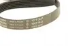 529048220 Комплект ремня генератора BMW 3 (F30/F80) 12-16 N13 B16 (6PK985) INA підбір по vin на Brocar