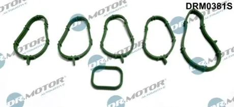 DRM0381S К-т прокладок впускного колектора, 6 шт DR.MOTOR підбір по vin на Brocar