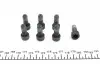 415041310 Демпфер зчеплення Renault Megane II/Scenic II, 2.0 16V, 03-09, F4R LUK підбір по vin на Brocar