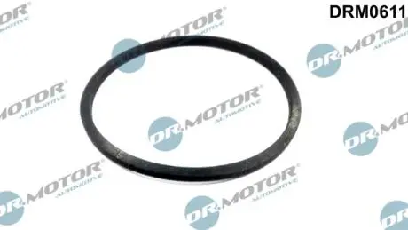 DRM0611 Прокладка фільтру мастила VW GOLF 1,9TDI 96- DR.MOTOR підбір по vin на Brocar