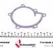 PA1171 Помпа воды Citroen C4/Peugeot 4008 1.8HDi 12-/Mitsubishi Lancer 1.8DI-D/Outlander 2.2DI-D(B/B)(8лоп) GRAF підбір по vin на Brocar