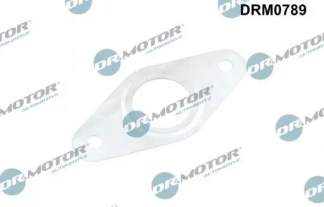 DRM0789 ПРОКЛАДКА КЛАПАНА РЕЦИРКУЛЯЦИИ DR.MOTOR подбор по vin на Brocar