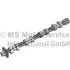 Розподільний вал Citroen Jumpy/Peugeot Expert 2.2 HDi/Fiat Scudo 2.0D 07- (впускной) 50007010