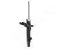 MM00766 Амортизатор передн. прав. Kuga 08- JAPANPARTS підбір по vin на Brocar