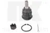 Шаровая опора перед. рычага нижняя Nissan Primera 1.6-2.2dCi 02- 5042235