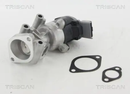 881310009 Клапан TRISCAN подбор по vin на Brocar