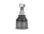 Опора кульова (передня/знизу) Honda Civic VII 00-05 31-16 010 0000