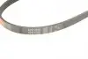 4PK1058 Ремень поликлиновый Gates GATES підбір по vin на Brocar