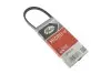 3PK515 Ремень поликлиновой Gates GATES підбір по vin на Brocar