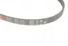 4PK1210 Поліклинові ремені Micro-V (Вир-во Gates) GATES підбір по vin на Brocar