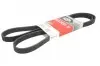 Ремень поликлиновый Gates 5PK1570