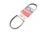 Ремень поликлиновый Gates 4PK725