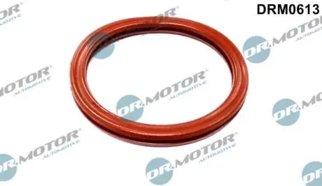 DRM0613 Уплотнительное кольцо дроссельной заслонки DR.MOTOR підбір по vin на Brocar