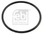 Прокладка термостата VW LT II/MB T2 96-06 10258