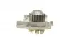 CT1179WP4 Комплект ГРМ + помпа Renault Clio III/Laguna III/Megane III/ Scenic III 1.6 16V 05- (27.4x132z) CONTITECH підбір по vin на Brocar