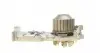 CT1179WP4 Комплект ГРМ + помпа Renault Clio III/Laguna III/Megane III/ Scenic III 1.6 16V 05- (27.4x132z) CONTITECH підбір по vin на Brocar