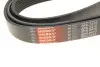 8PK2410 Ремінь поліклиновий 8PK2410 GATES підбір по vin на Brocar