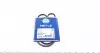 0500020800 Ремінь генератора VW Golf III/IV/Passat/Polo -01 (2PK800) MEYLE підбір по vin на Brocar