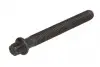 Болт шківа колінвалу BMW 3 (E90-E93)/5 (E60/E61)/X3 (E83)/X5 (E70) 09- M57 11232247932