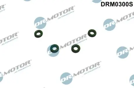 DRM0300S Комплект прокладок гумових DR.MOTOR підбір по vin на Brocar
