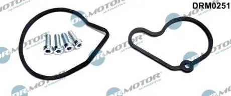 DRM0251 Комплект прокладок з різних матеріалів DR.MOTOR підбір по vin на Brocar