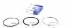Кільця поршневі Citroen Jumper 3.0HDi 06-/10- (95.80mm/STD)(2.5-2.0-2.5) = 8920070000 120020000700