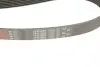 7PK1905 Ремень поликлиновый Gates GATES підбір по vin на Brocar