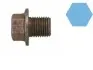 Пробка маслосливного отвору Corteco 220122S