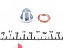 45618 Пробка поддона картера сливная Citroen Berlingo/Fiat Ducato 98- FEBI BILSTEIN підбір по vin на Brocar