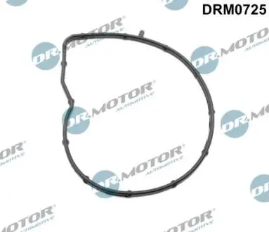 DRM0725 Прокладка помпи води DR.MOTOR підбір по vin на Brocar