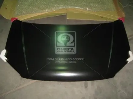 0270240280 Капот HYUN GETZ 02-05 (вир-во TEMPEST) TEMPEST підбір по vin на Brocar