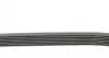 7PK880 Ремінь генератора Renault Clio 1.2 16V 05-14 CONTITECH підбір по vin на Brocar