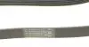 6PK1050K1 Комплект ременя генератора VW Caddy/Golf/Passat 1.9/2.0TDI 05-11/Skoda Octavia/Superb 04-10 CONTITECH підбір по vin на Brocar