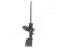 MM00402 Амортизатор газ.передн.Laguna II 01- JAPANPARTS підбір по vin на Brocar