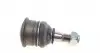 ADN18631 Опора кульова (передня/знизу) Nissan Primera/Sunny 86-02/Almera II 00- BLUE PRINT підбір по vin на Brocar