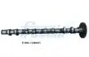 WAŁEK ROZRZĄDU WYD. BMW 1 E81 2,0 08- CM05-2317