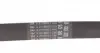 6PK1847EXTRA Ремінь генератора Ford Mondeo 2.0TDCi 07-15/Opel Astra J/Insignia A 2.0CDTI 09-17 CONTITECH підбір по vin на Brocar