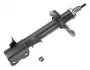Амортизатор (задний) Nissan X-Trail 01-13 (R) 36-26 723 0001