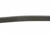 6PK2220K Ремень генератора Chevrolet Captiva/Cruze 2.2D 11-/Opel Antara A 2.2CDTi 10-15 DAYCO підбір по vin на Brocar