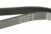 6PK2220K Ремень генератора Chevrolet Captiva/Cruze 2.2D 11-/Opel Antara A 2.2CDTi 10-15 DAYCO підбір по vin на Brocar